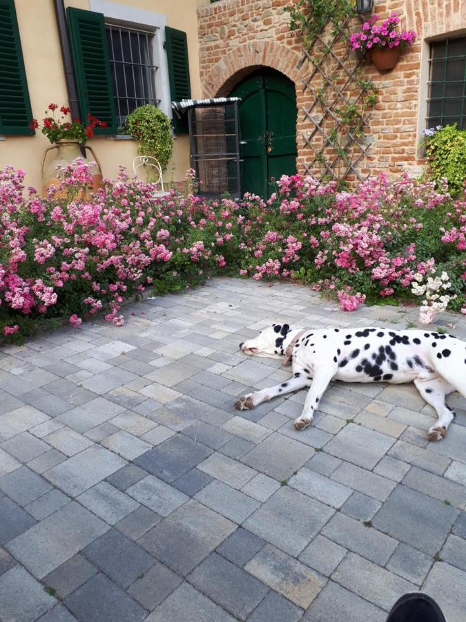 Casa Relax Immersa Nel Verde Della Natura Casalborgone Esterno foto
