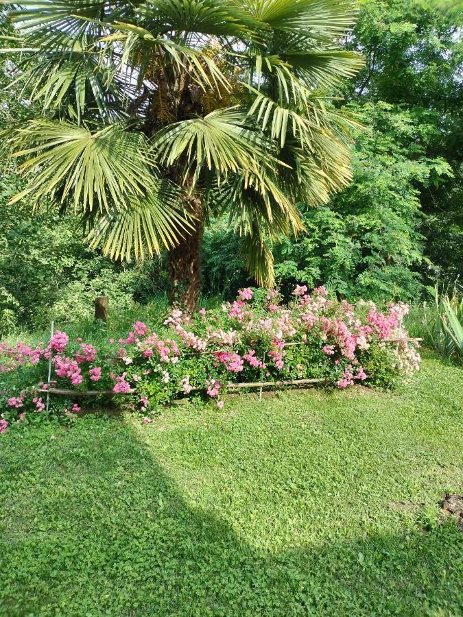 Casa Relax Immersa Nel Verde Della Natura Casalborgone Esterno foto
