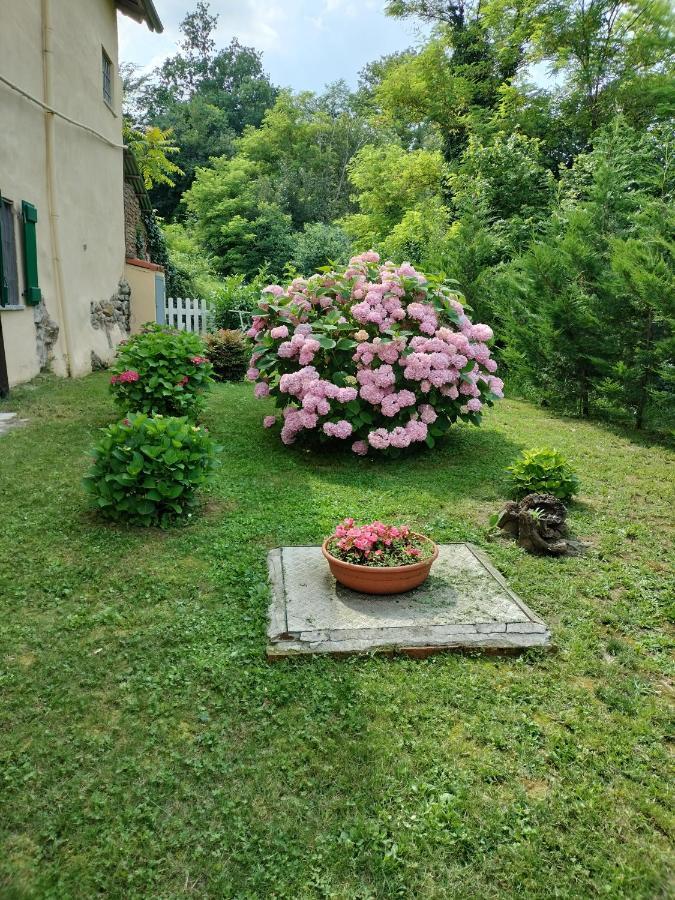 Appartamento Casa Relax Immersa Nel Verde Della Natura Casalborgone Esterno foto