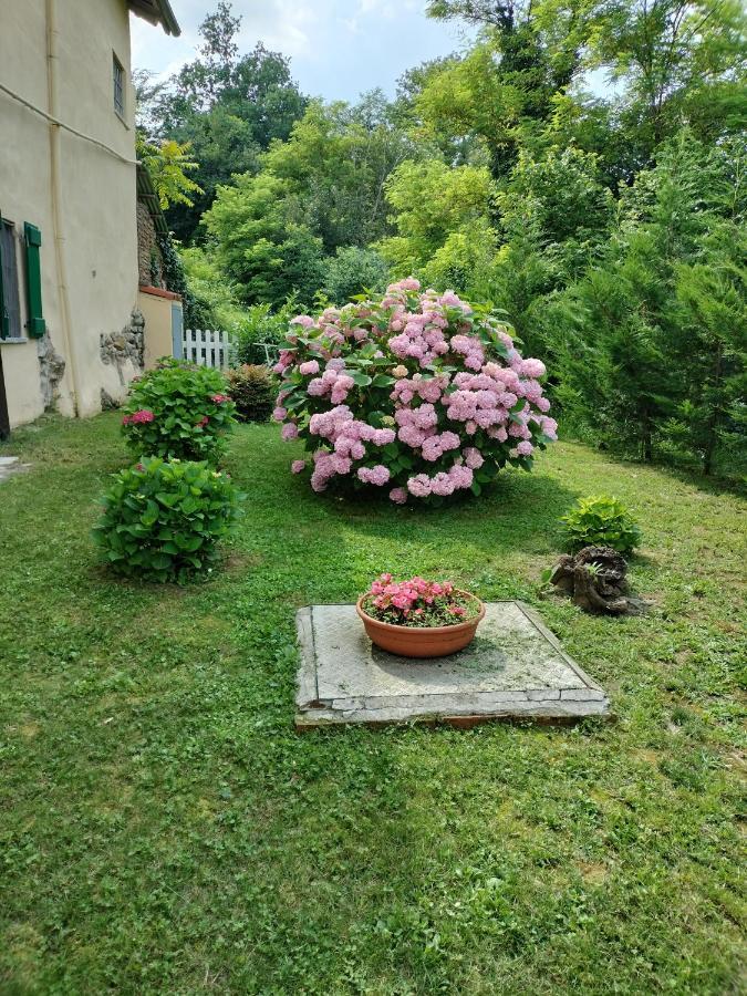 Casa Relax Immersa Nel Verde Della Natura Casalborgone Esterno foto