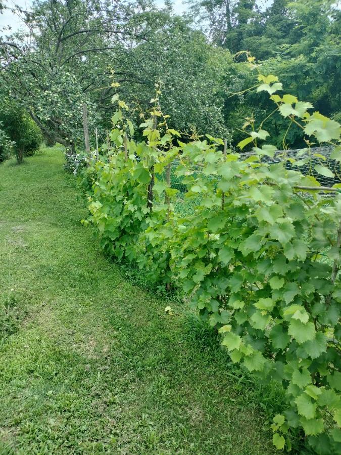 Casa Relax Immersa Nel Verde Della Natura Casalborgone Esterno foto