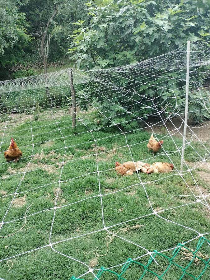 Casa Relax Immersa Nel Verde Della Natura Casalborgone Esterno foto