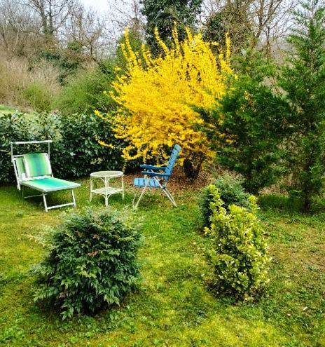 Appartamento Casa Relax Immersa Nel Verde Della Natura Casalborgone Esterno foto